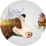 gallery/иконка 3-1